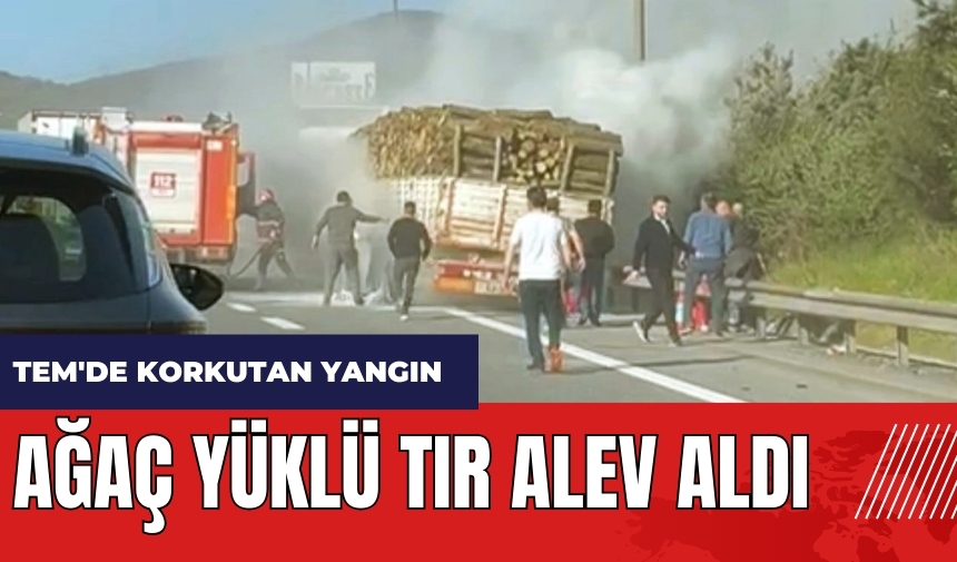 TEM'de korkutan yangın! Ağaç yüklü tır alev aldı