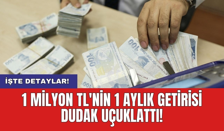 1 milyon TL'nin 1 aylık getirisi dudak uçuklattı!