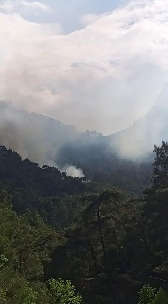 Kemer'de orman yangını: Ekipler olaya müdahale ediyor