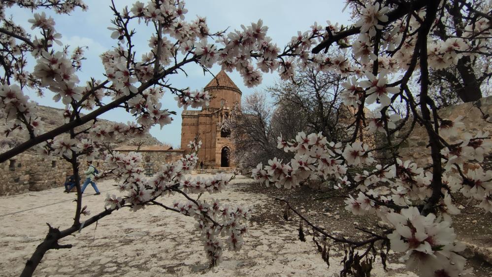 Akdamar Adası ilkbaharda badem çiçekleriyle görsel şölen sunuyor