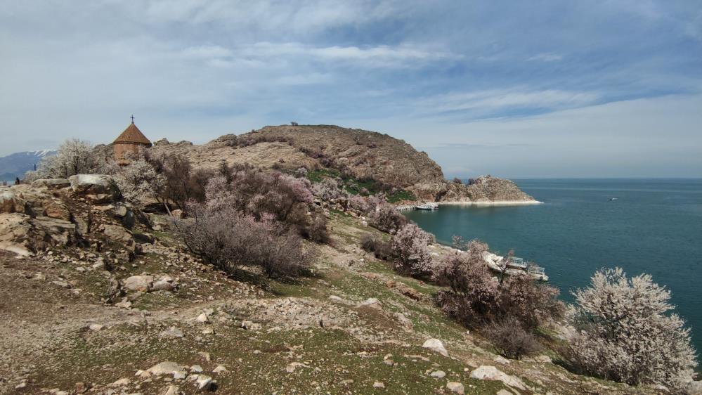 Akdamar Adası ilkbaharda badem çiçekleriyle görsel şölen sunuyor