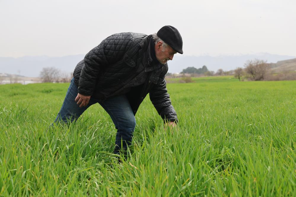 Elazığ’da bahar yağmurları çiftçilerin yüzünü güldürdü