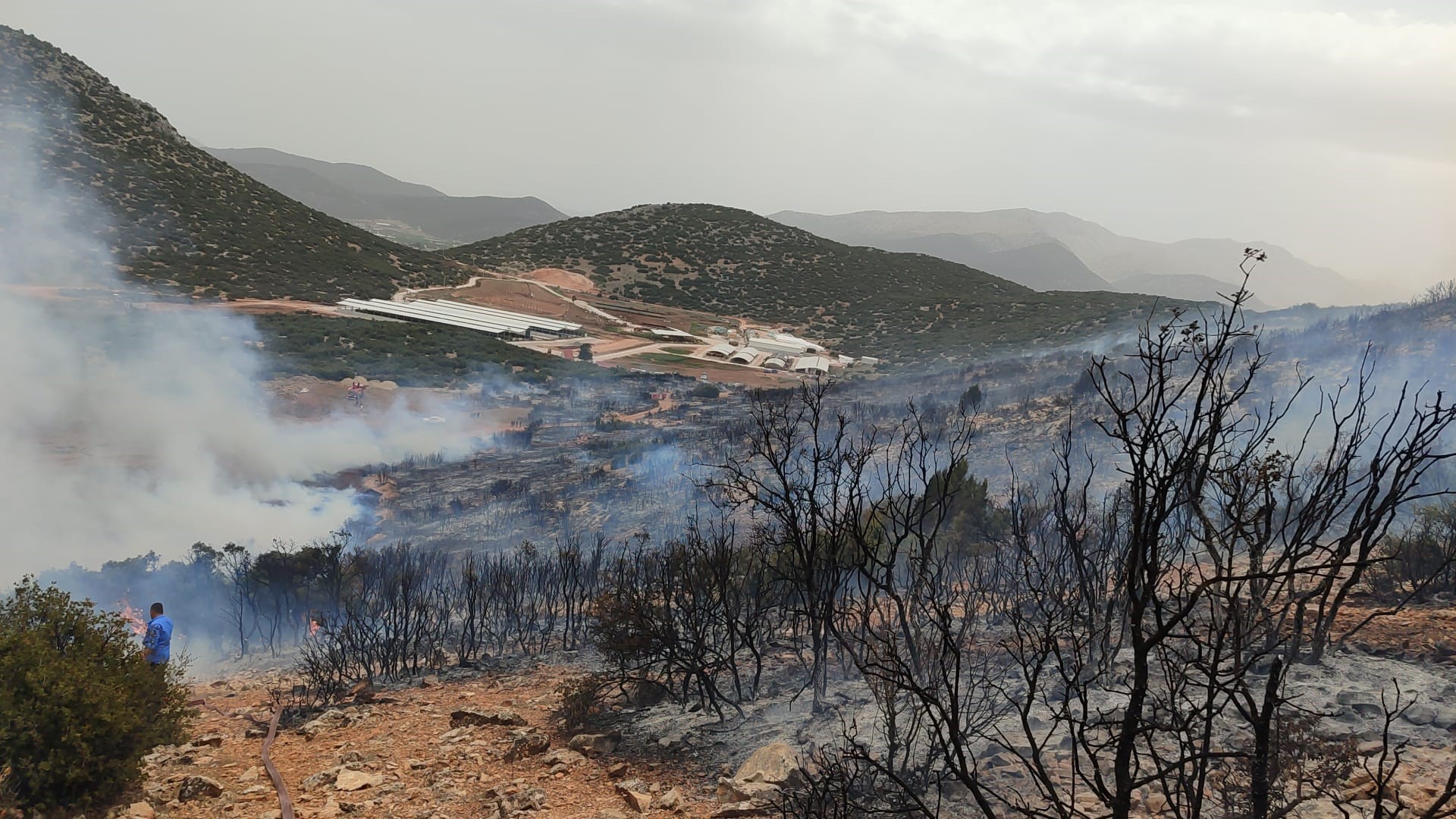 Antalya Korkuteli'nde çıkan yangın korkuttu