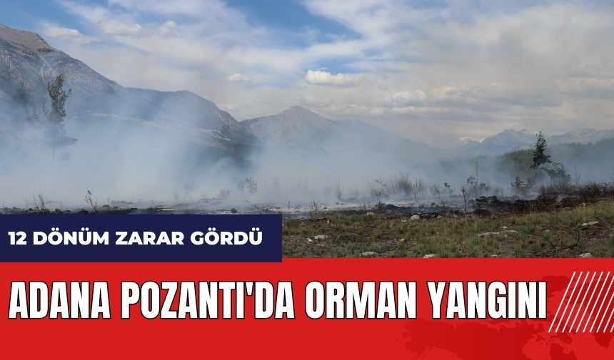 Adana Pozantı'da orman yangını! 12 dönüm zarar gördü