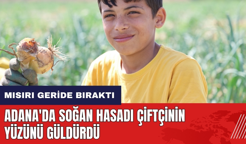 Adana'da soğan hasadı çiftçinin yüzünü güldürdü