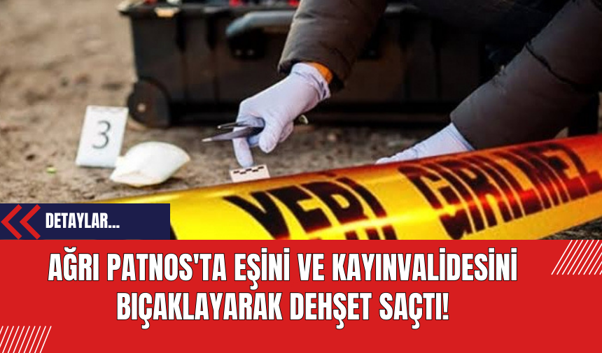 Ağrı Patnos'ta Eşini ve Kayınvalidesini Bıçaklayarak Dehşet Saçtı!