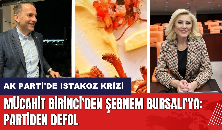 AK Parti'de ıstakoz krizi! Mücahit Birinci'den Şebnem Bursalı'ya: Partiden defol