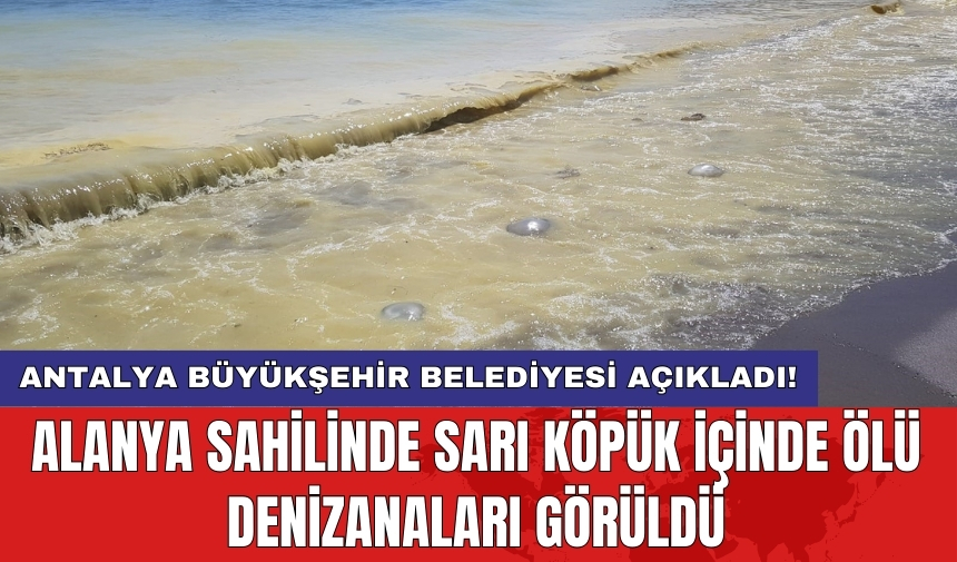 Alanya sahilinde sarı köpük içinde ölü denizanaları görüldü