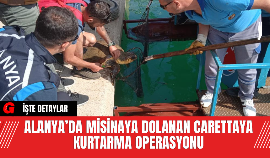 Alanya’da Misinaya Dolanan Carettaya Kurtarma Operasyonu