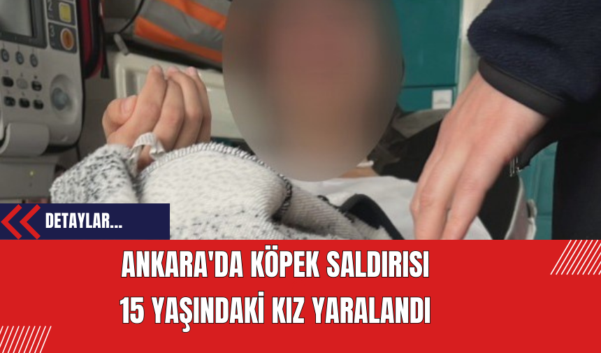 Ankara'da Köpek Saldırısı: 15 Yaşındaki Kız Yaralandı