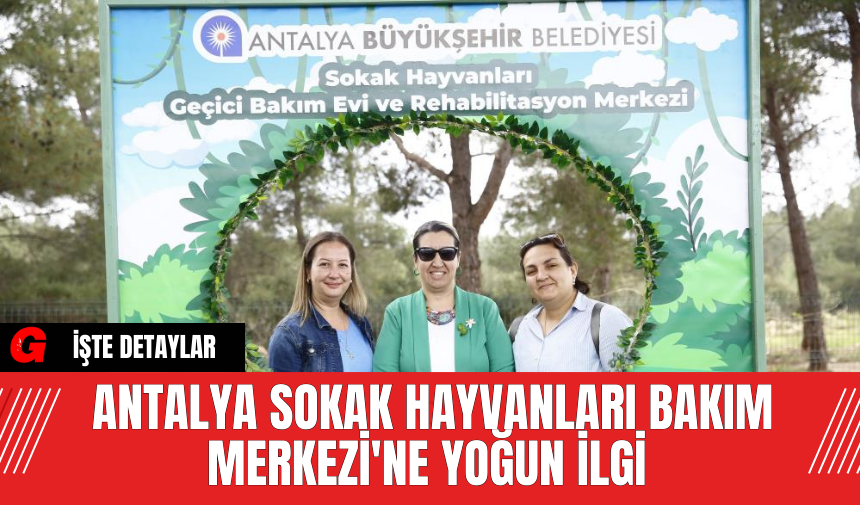 Antalya Sokak Hayvanları Bakım Merkezi'ne Yoğun İlgi