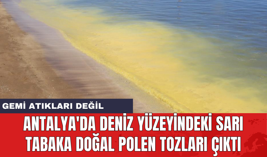 Antalya'da deniz yüzeyindeki sarı tabaka doğal polen tozları çıktı