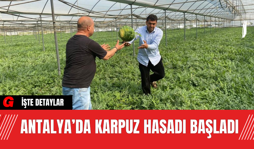 Antalya’da Karpuz Hasadı Başladı