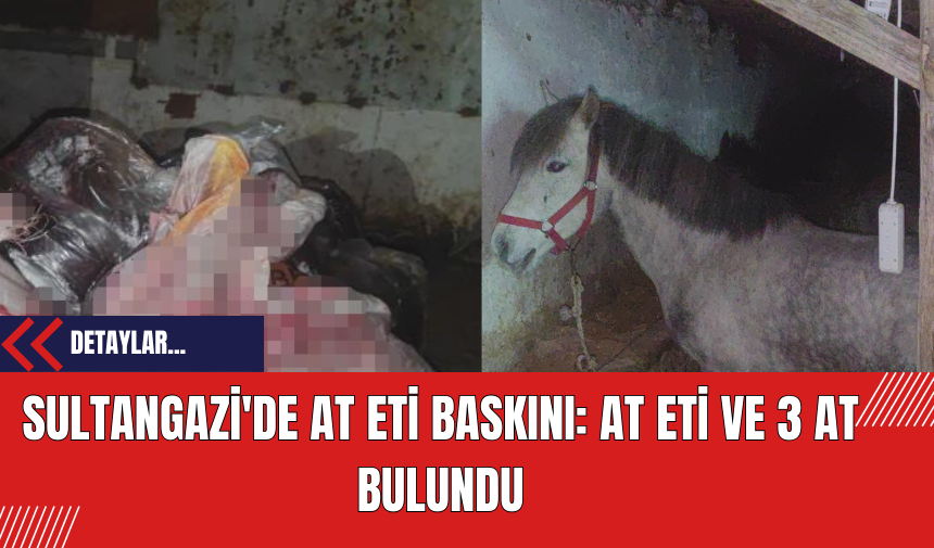 Sultangazi'de At Eti Baskını: At Eti ve 3 At Bulundu