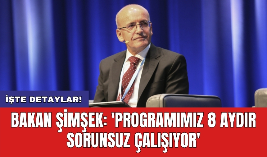 Bakan Şimşek: 'Programımız 8 aydır sorunsuz çalışıyor'