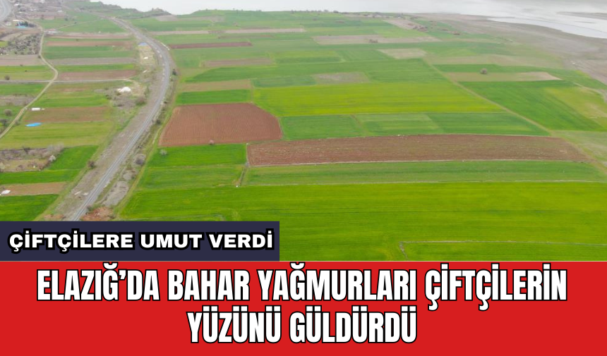 Elazığ’da bahar yağmurları çiftçilerin yüzünü güldürdü