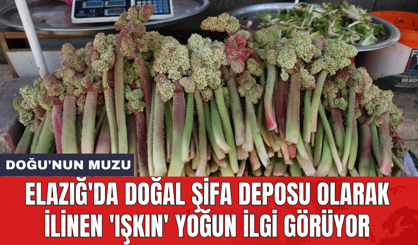 Elazığ'da doğal şifa deposu olarak ilinen 'Işkın' yoğun ilgi görüyor