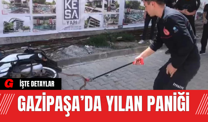 Gazipaşa’da Yılan Paniği