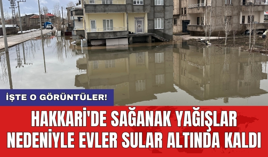 Hakkari'de sağanak yağışlar nedeniyle evler sular altında kaldı