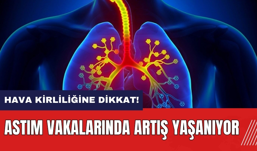 Hava kirliliğine dikkat! Astım vakaları artıyor