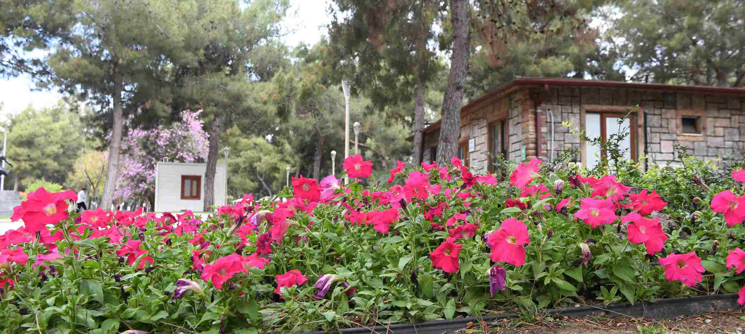 Konyaaltı Belediyesi HayatPark'ta peyzaj yenileniyor