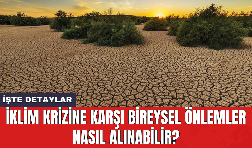 İklim krizine karşı bireysel önlemler nasıl alınabilir?