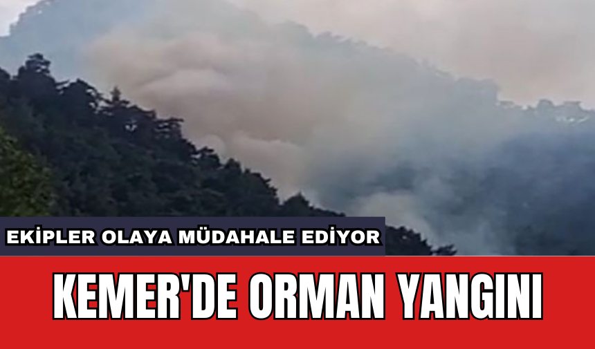 Kemer'de orman yangını: Ekipler olaya müdahale ediyor