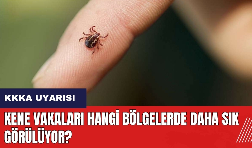 Kene vakaları hangi bölgelerde daha sık görülüyor?