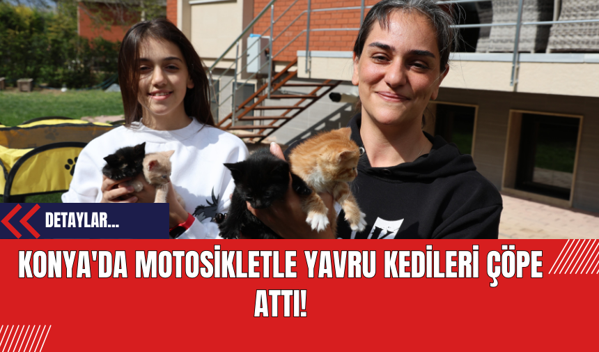 Konya'da Motosikletle Yavru Kedileri Çöpe Attı!