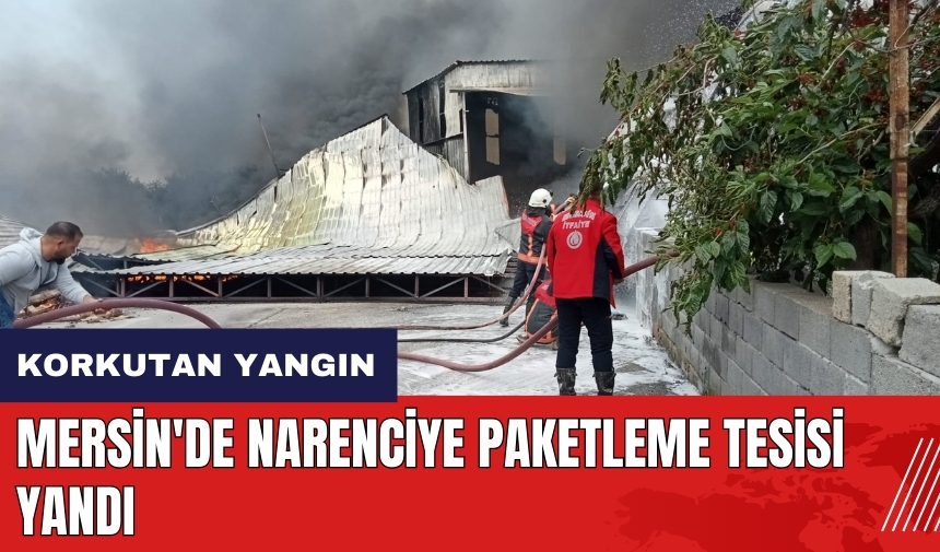 Mersin'de narenciye paketleme tesisi yandı