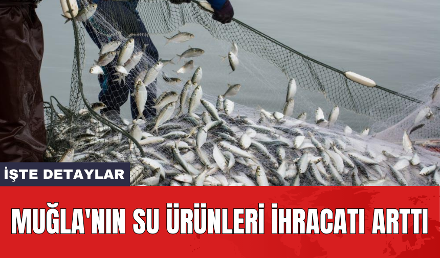 Muğla'nın su ürünleri ihracatı arttı