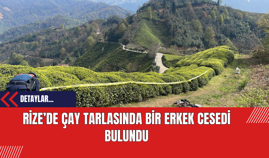 Rize’de Çay Tarlasında Bir Erkek Cesedi Bulundu