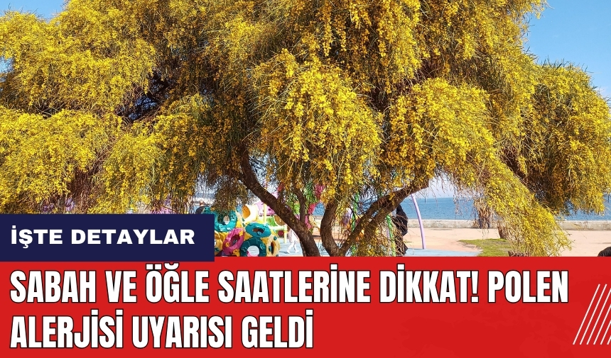 Sabah ve öğle saatlerine dikkat! Polen alerjisi uyarısı geldi