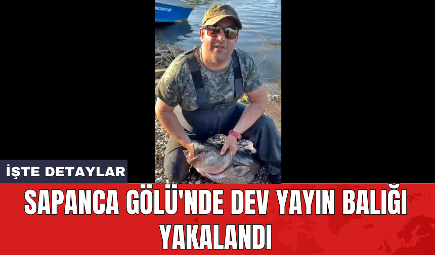 Sapanca Gölü'nde dev yayın balığı yakalandı