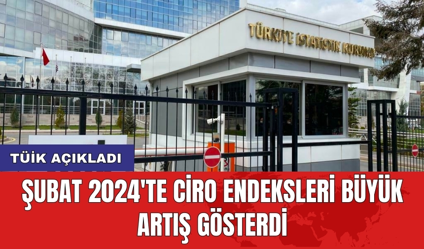 TÜİK Açıkladı: Şubat 2024'te Ciro Endeksleri Büyük Artış Gösterdi