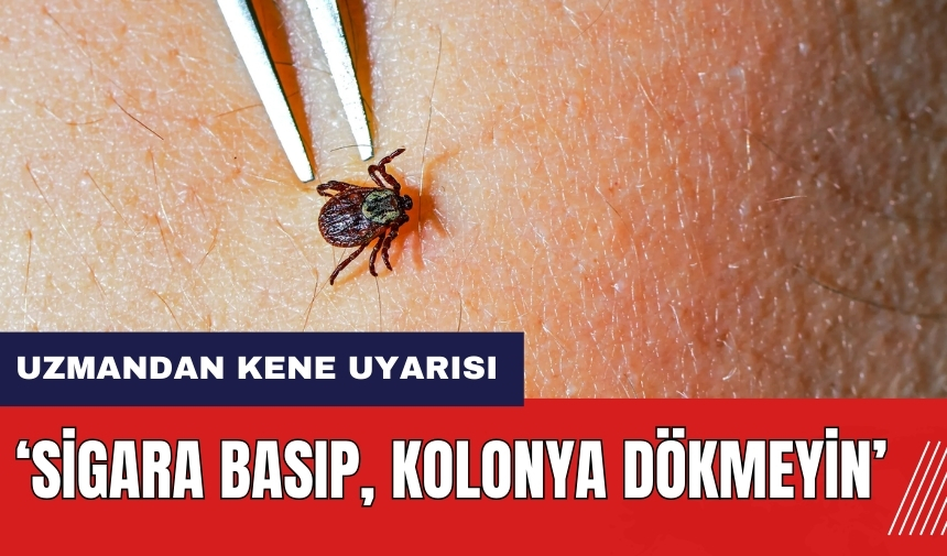 Uzmandan kene uyarısı: Sigara basıp, kolonya dökmeyin