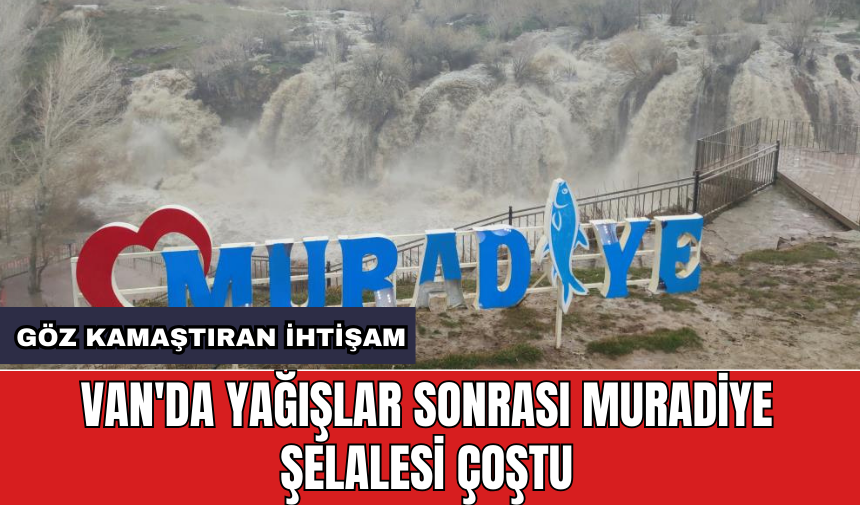 Van'da yağışlar sonrası Muradiye Şelalesi çoştu