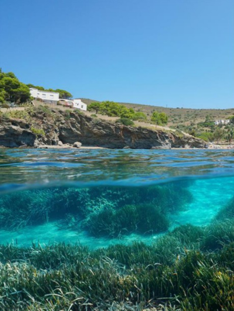 Göcek'te deniz ve kıyılar 700 mapa şamandıra ile korunacak