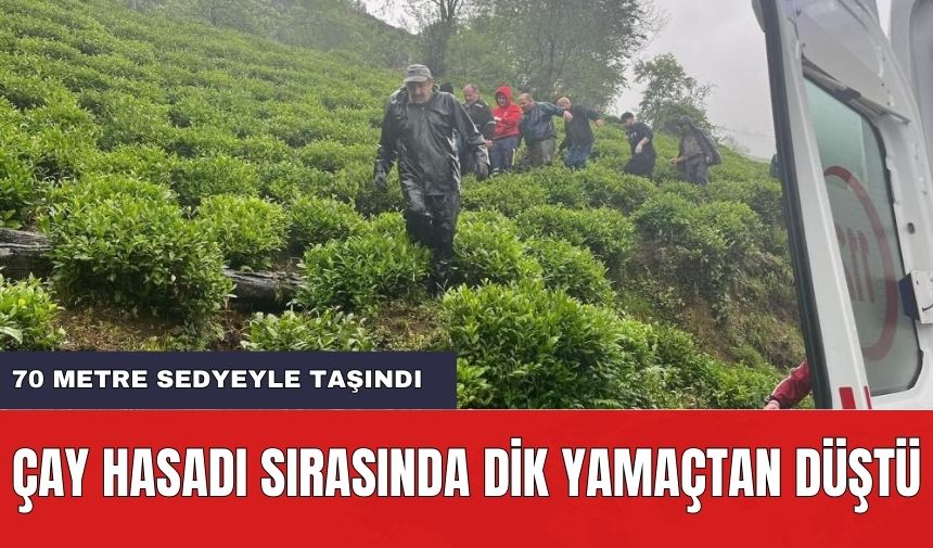 Çay Hasadı Sırasında Dik Yamaçtan Düştü