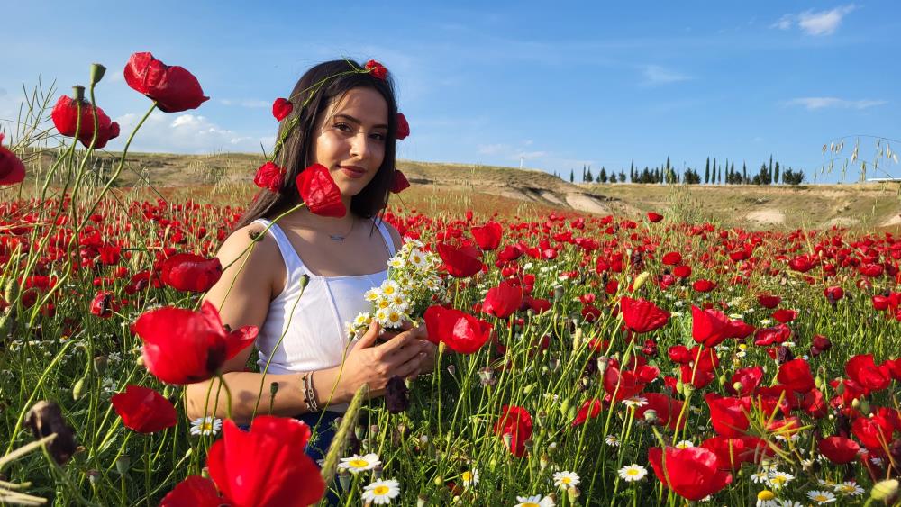 Adıyaman'da gelincik tarlaları kırmızıya boyandı