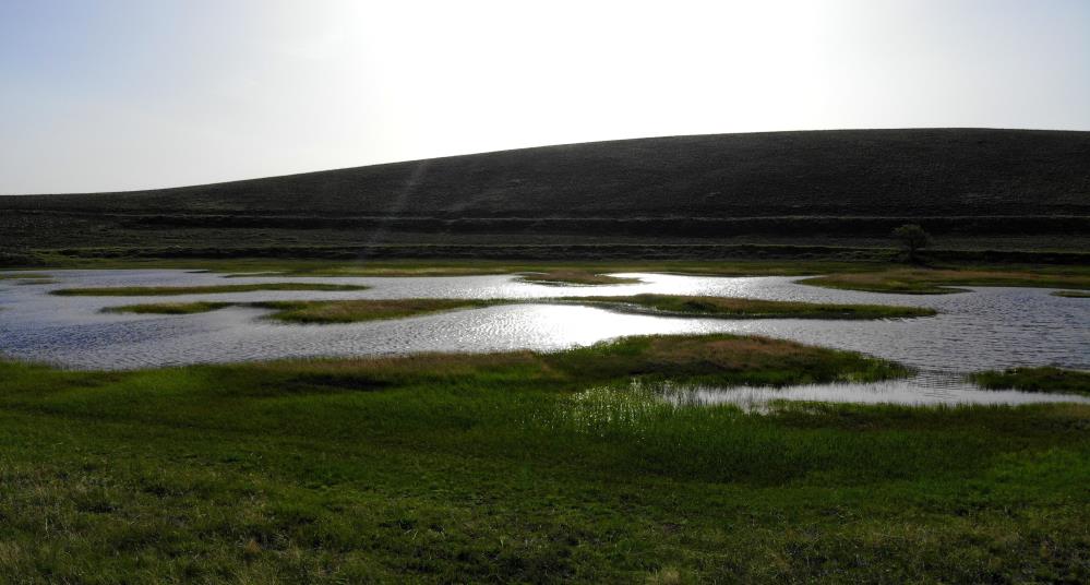 Erzincan'daki yüzen adalar doğa tutkunlarını bekliyor