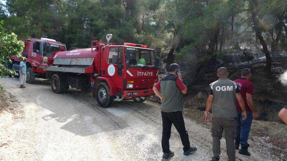 Manavgat'ta orman yangını zamanında müdahale ile söndürüldü