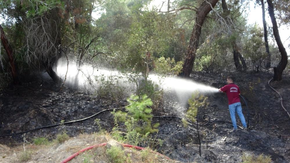 Manavgat'ta orman yangını zamanında müdahale ile söndürüldü