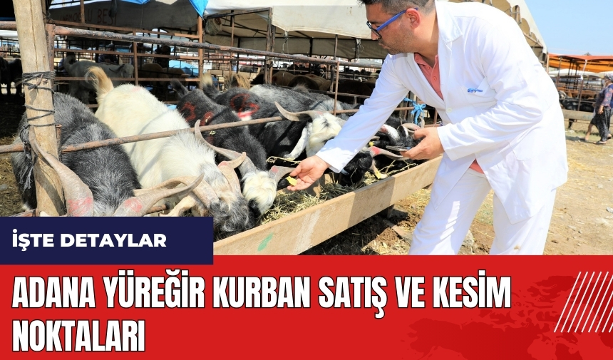 Adana Yüreğir kurban satış ve kesim noktaları