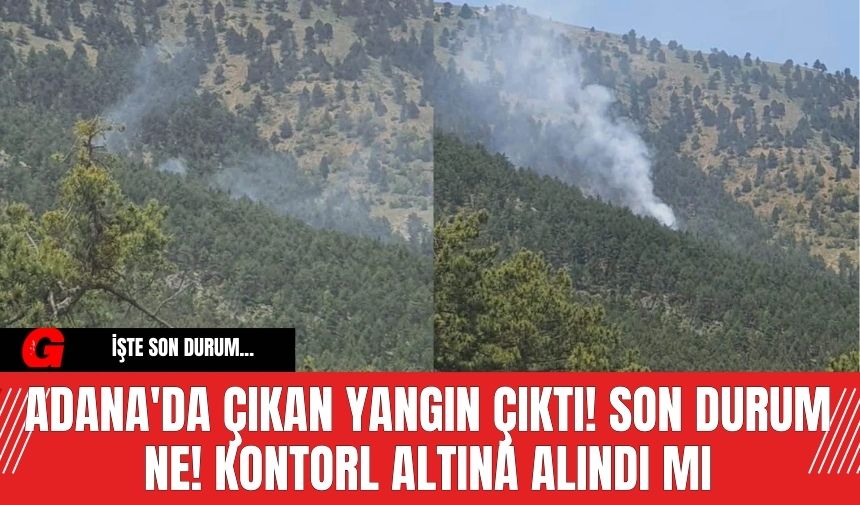 Adana'da Yangın Çıktı! Son Durum Ne! Kontorl Altına Alındı mı