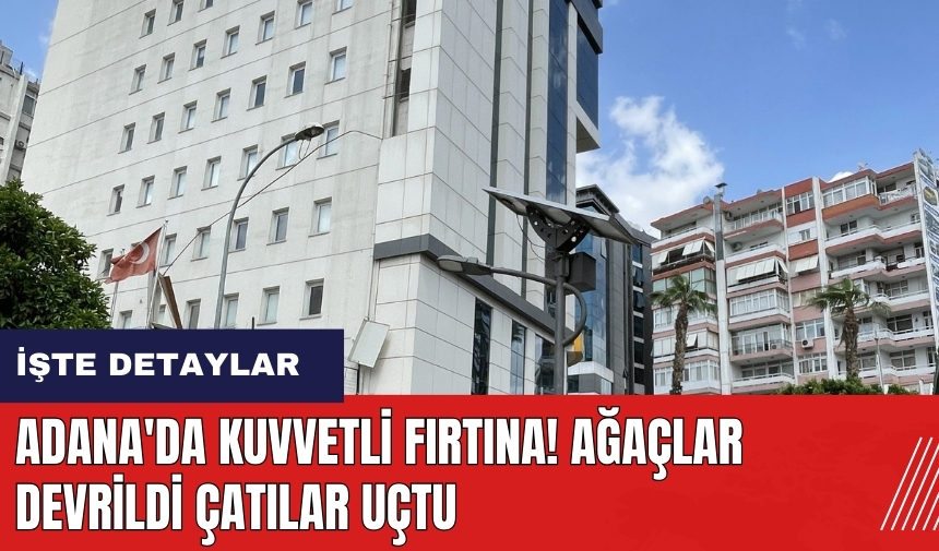 Adana'da kuvvetli fırtına! Ağaçlar devrildi çatılar uçtu