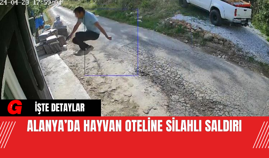 Alanya’da Hayvan Oteline Silahlı Saldırı