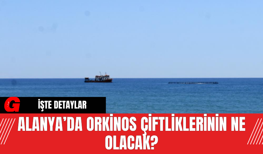 Alanya’da Orkinos Çiftliklerinin Ne Olacak?