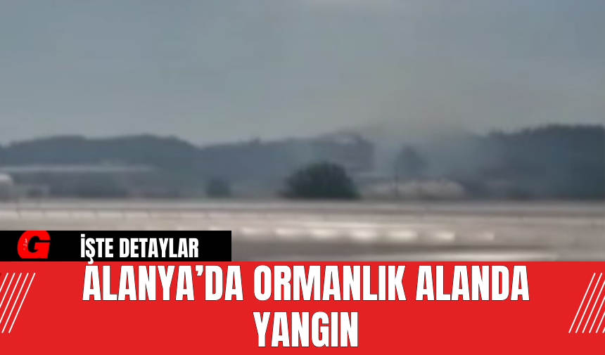 Alanya’da Ormanlık Alanda Yangın