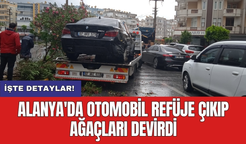 Alanya'da otomobil refüje çıkıp ağaçları devirdi